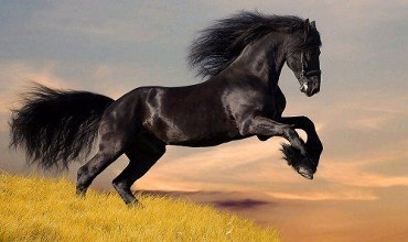 在线配资门户官网如何辨别真伪？ICP与公安备案查询大揭秘！